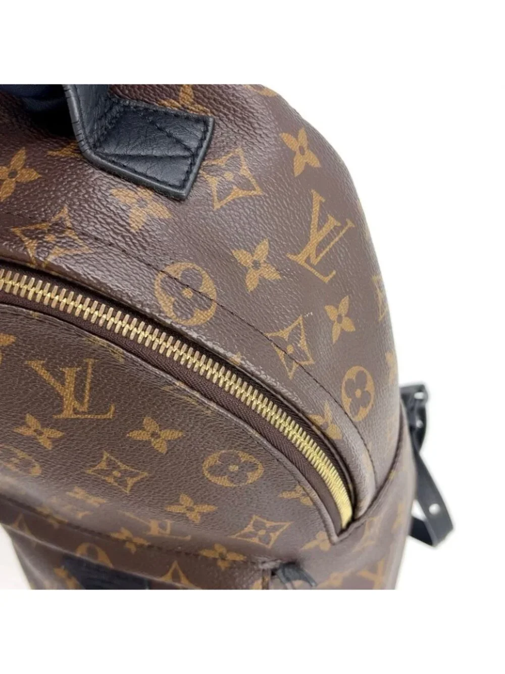 Louis Vuitton Palm Springs PM Monogram Leather